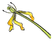 bijeenkomsten-(3).png bijeenkomsten-(3).png