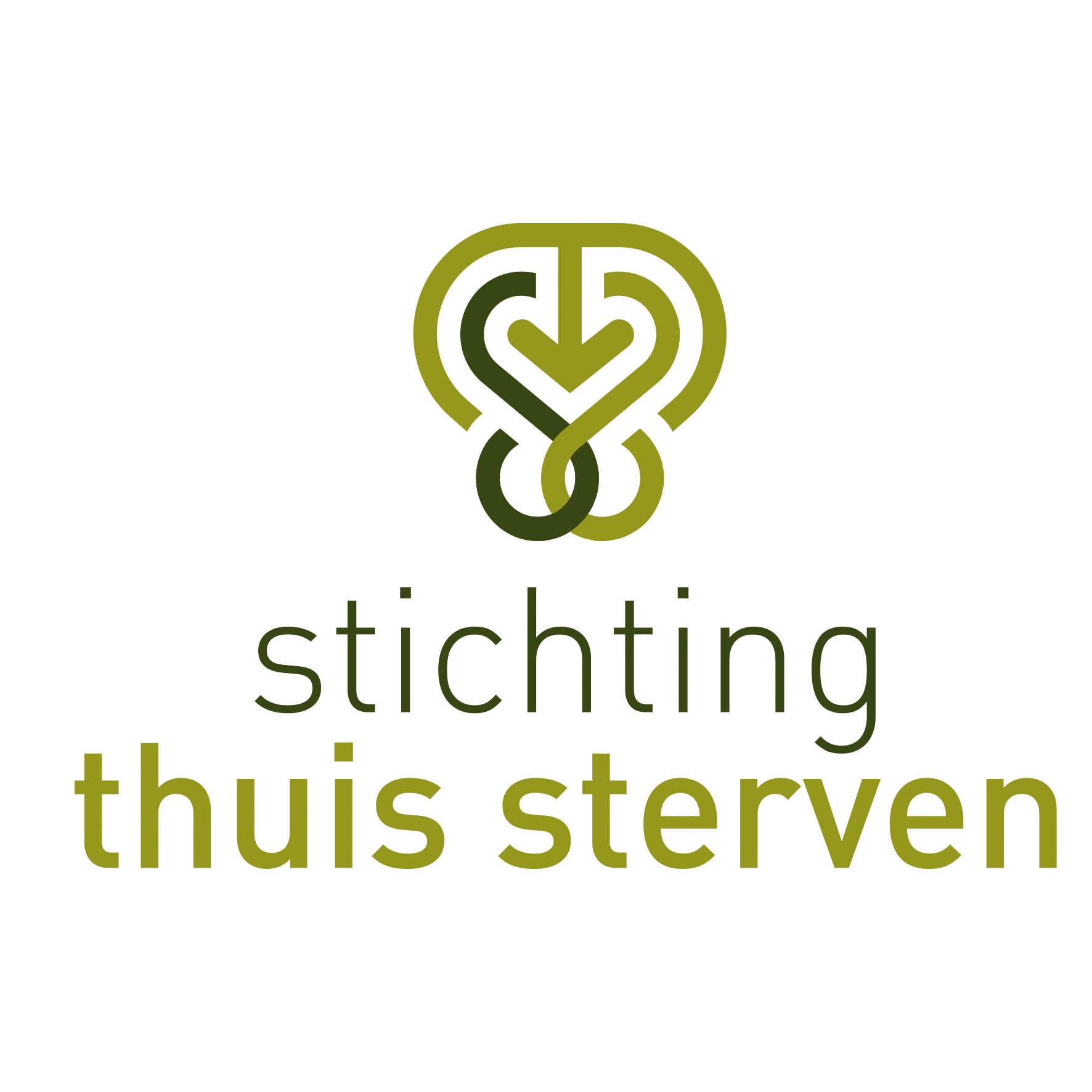 logo-STS-jpeg-(1).jpg