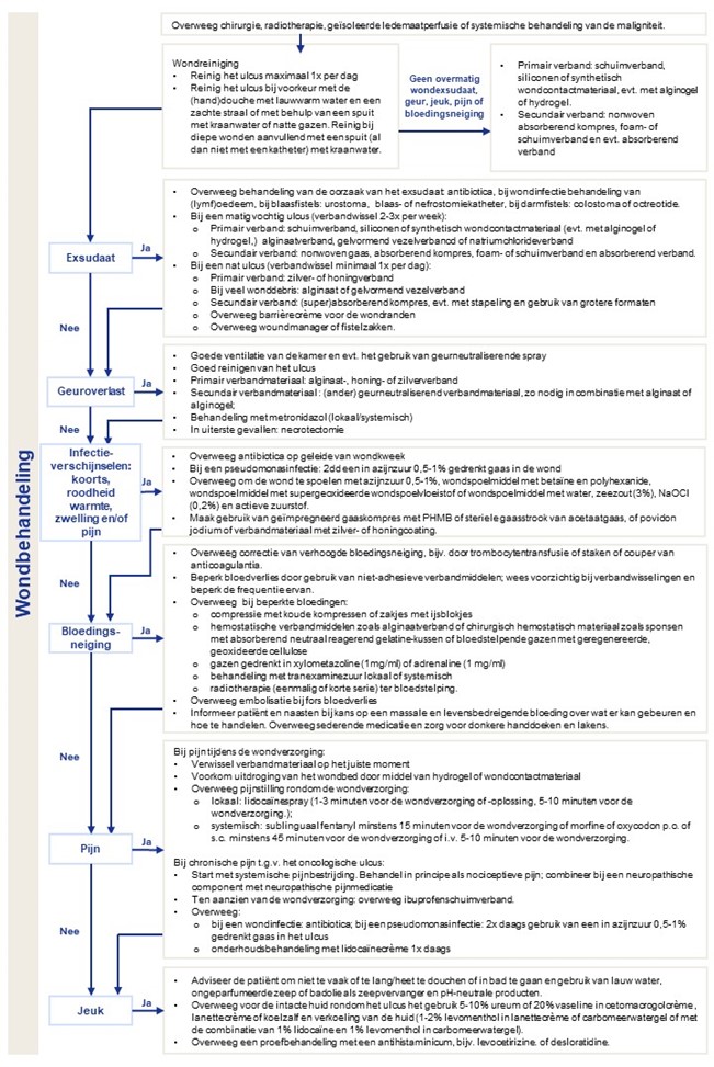 Beslisboom_behandeling_richtlijn_Oncologische_Ulcera-(1).jpg